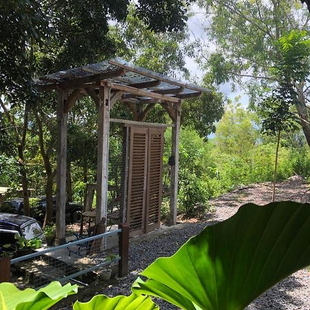 Omah Cantrik, Ethnic Java House With Nature View Jarakan Dış mekan fotoğraf