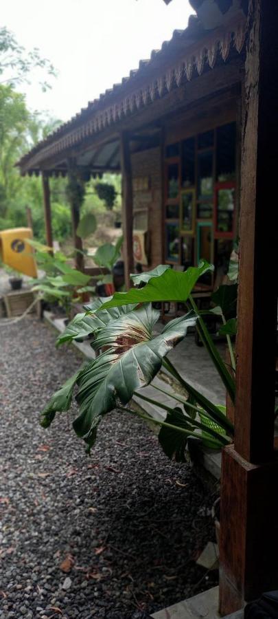 Omah Cantrik, Ethnic Java House With Nature View Jarakan Dış mekan fotoğraf